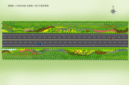 港营路绿化方案平面图